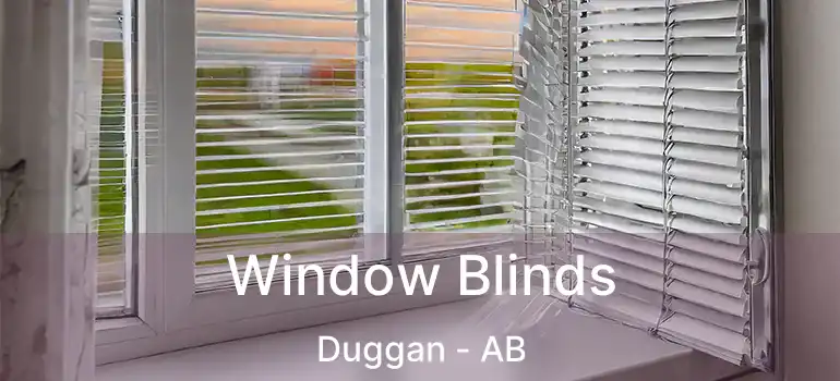  Window Blinds Duggan - AB