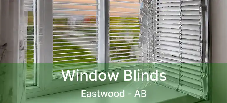  Window Blinds Eastwood - AB