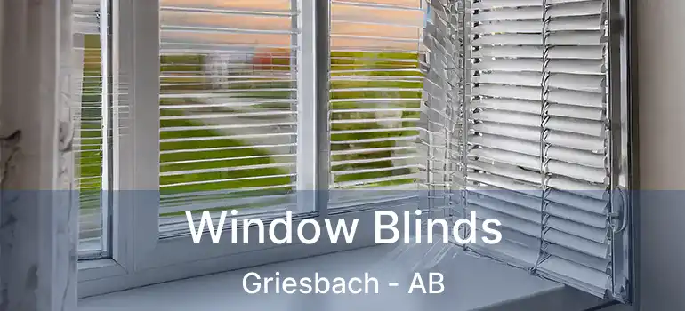  Window Blinds Griesbach - AB