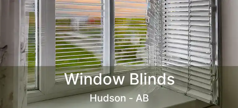  Window Blinds Hudson - AB