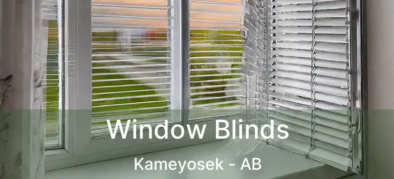  Window Blinds Kameyosek - AB