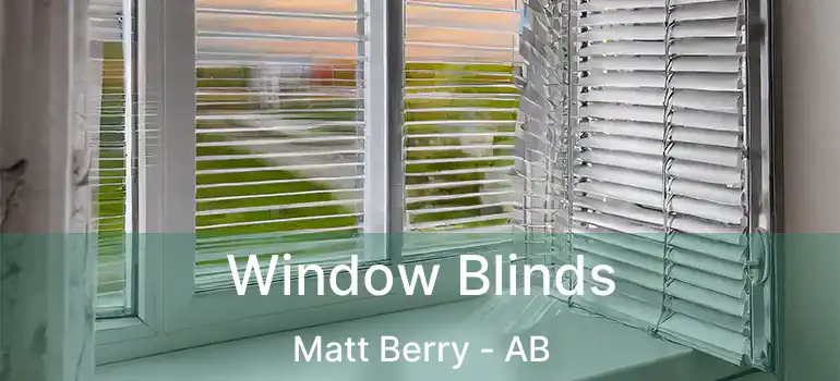  Window Blinds Matt Berry - AB