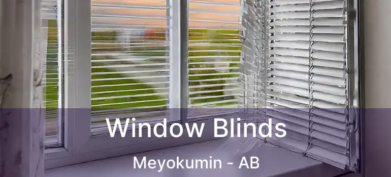  Window Blinds Meyokumin - AB