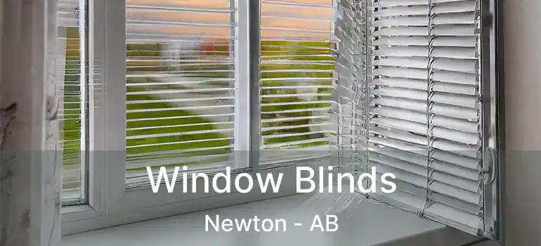  Window Blinds Newton - AB