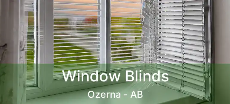  Window Blinds Ozerna - AB