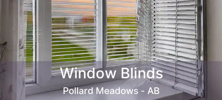  Window Blinds Pollard Meadows - AB