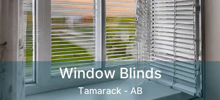  Window Blinds Tamarack - AB