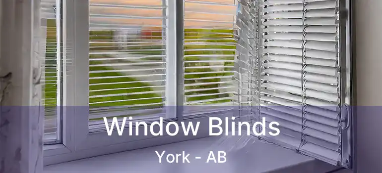  Window Blinds York - AB