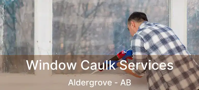  Window Caulk Services Aldergrove - AB
