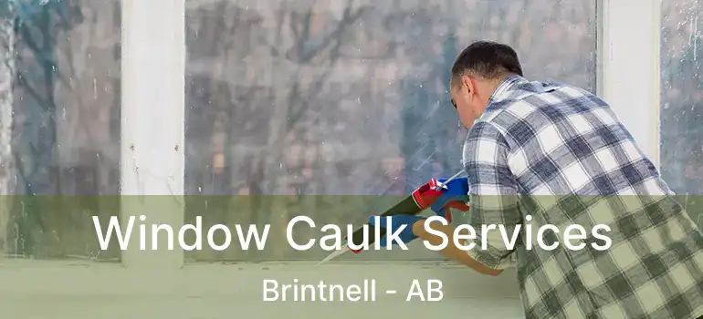  Window Caulk Services Brintnell - AB