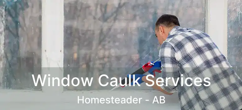  Window Caulk Services Homesteader - AB