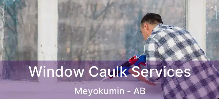  Window Caulk Services Meyokumin - AB