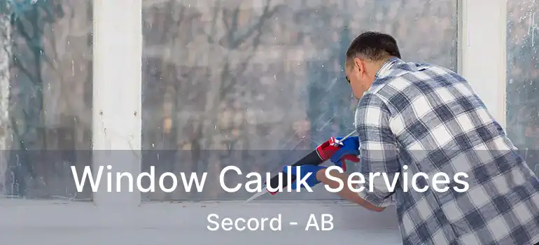  Window Caulk Services Secord - AB