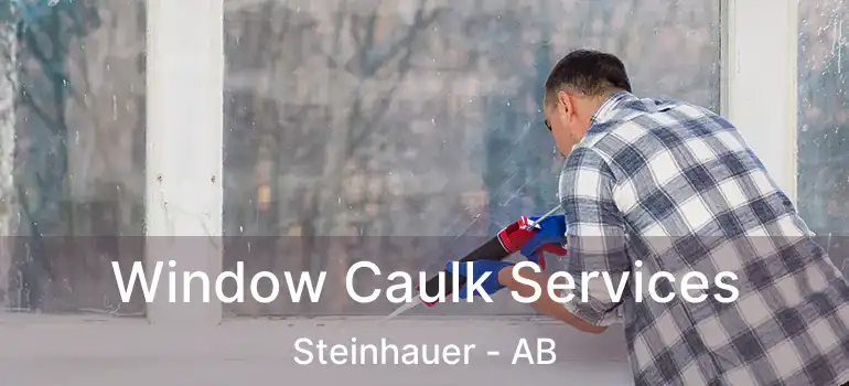  Window Caulk Services Steinhauer - AB