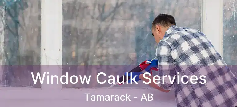  Window Caulk Services Tamarack - AB