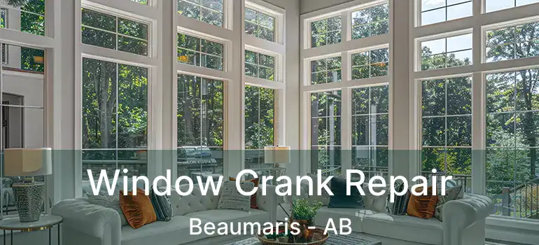 Window Crank Repair Beaumaris - AB