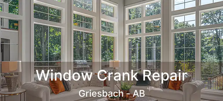  Window Crank Repair Griesbach - AB