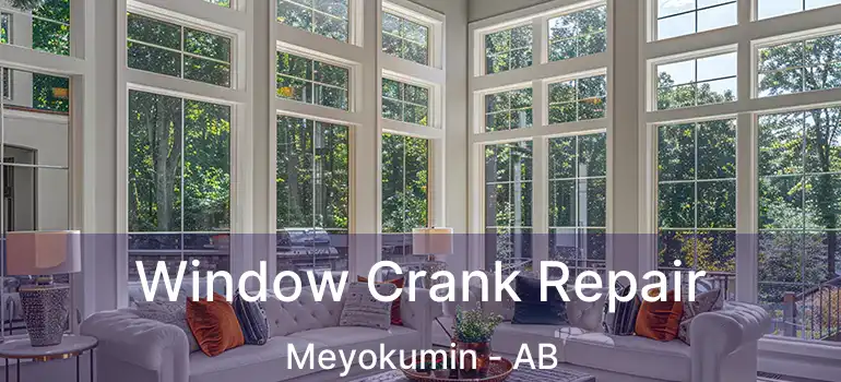  Window Crank Repair Meyokumin - AB