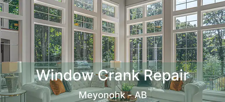  Window Crank Repair Meyonohk - AB