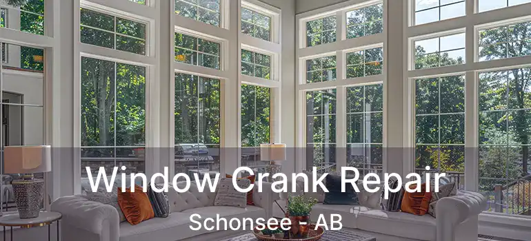  Window Crank Repair Schonsee - AB
