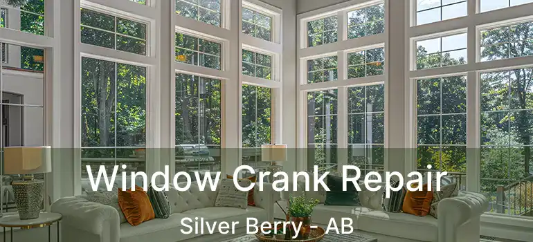  Window Crank Repair Silver Berry - AB
