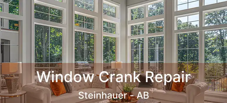  Window Crank Repair Steinhauer - AB