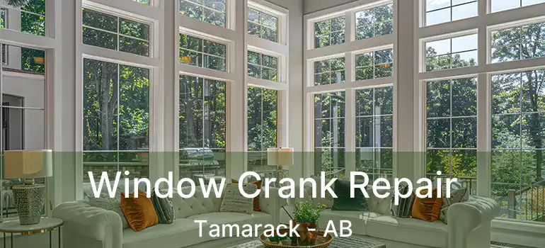  Window Crank Repair Tamarack - AB