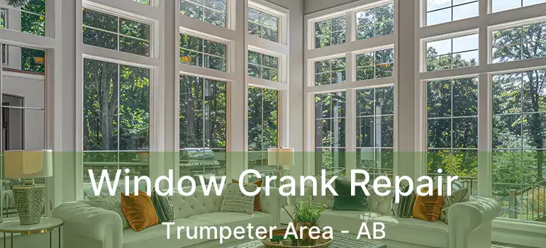  Window Crank Repair Trumpeter Area - AB
