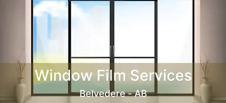  Window Film Services Belvedere - AB