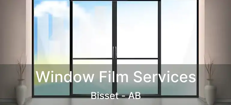  Window Film Services Bisset - AB