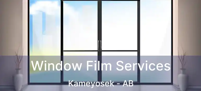  Window Film Services Kameyosek - AB