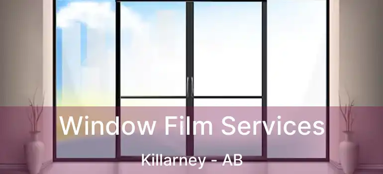  Window Film Services Killarney - AB