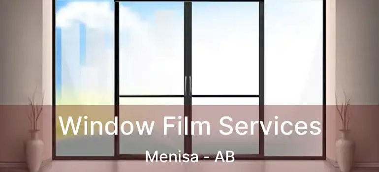  Window Film Services Menisa - AB