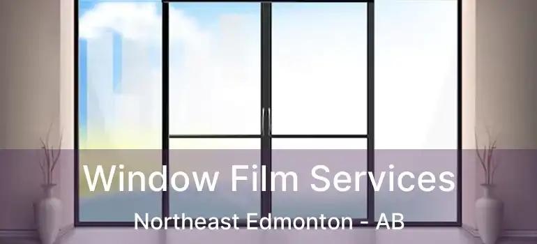  Window Film Services Northeast Edmonton - AB
