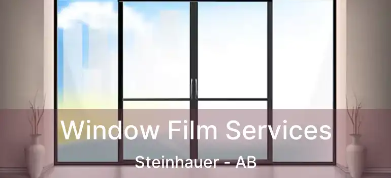  Window Film Services Steinhauer - AB