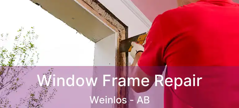  Window Frame Repair Weinlos - AB