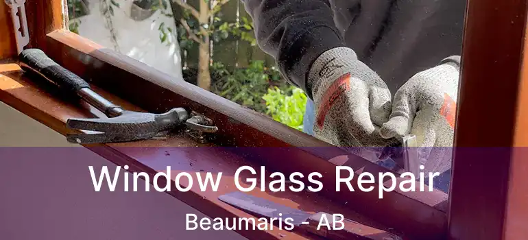  Window Glass Repair Beaumaris - AB
