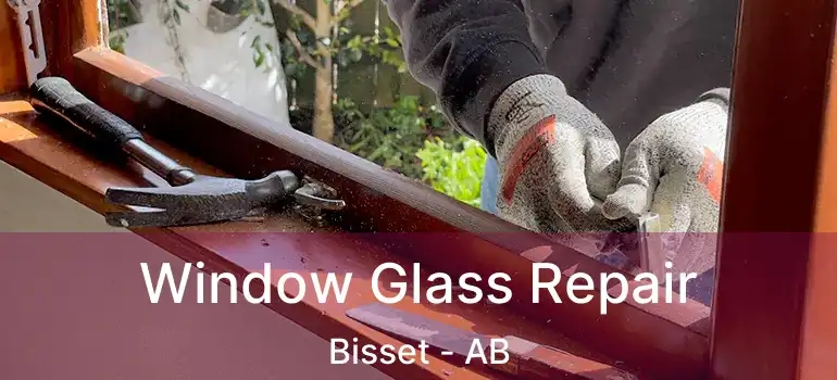  Window Glass Repair Bisset - AB