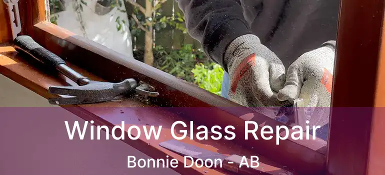  Window Glass Repair Bonnie Doon - AB