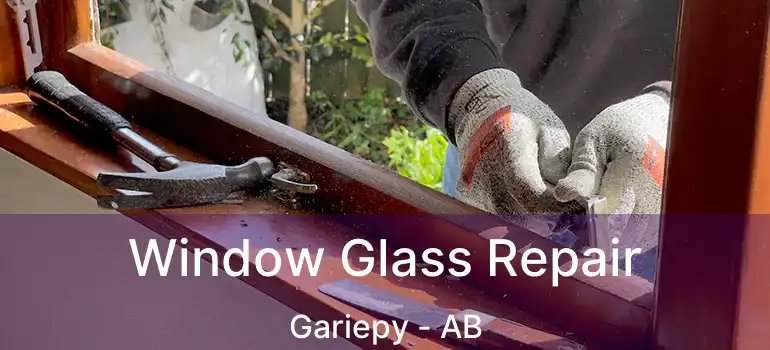  Window Glass Repair Gariepy - AB