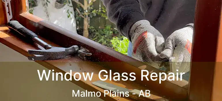  Window Glass Repair Malmo Plains - AB