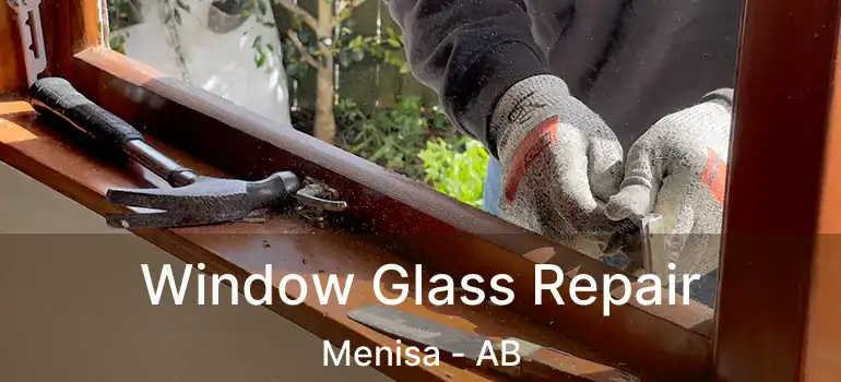  Window Glass Repair Menisa - AB