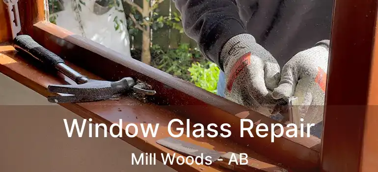  Window Glass Repair Mill Woods - AB