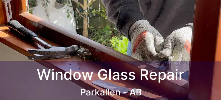  Window Glass Repair Parkallen - AB