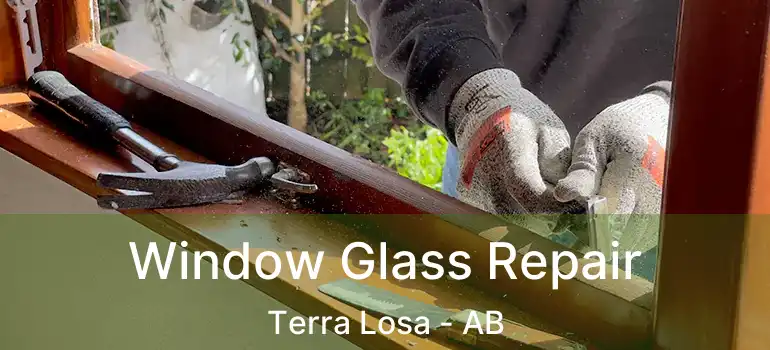  Window Glass Repair Terra Losa - AB