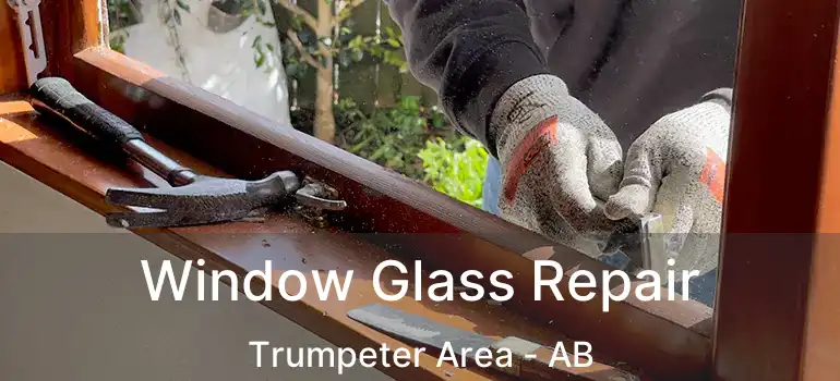  Window Glass Repair Trumpeter Area - AB