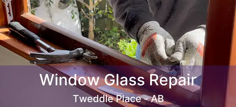  Window Glass Repair Tweddle Place - AB