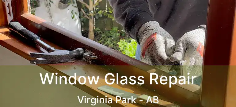  Window Glass Repair Virginia Park - AB