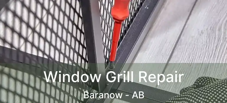  Window Grill Repair Baranow - AB
