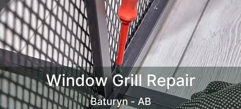  Window Grill Repair Baturyn - AB